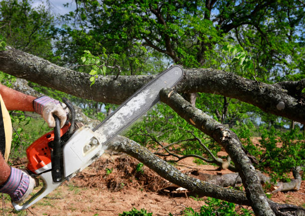 Mulching Services in Jenkintown, PA